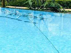 Kingsford Waterbay (D19), Apartment #510367691